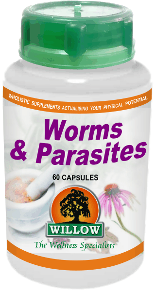 WILLOW - Worms & Parasites - 60 Capsules | One Life Health