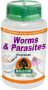 WILLOW - Worms & Parasites - 60 Capsules