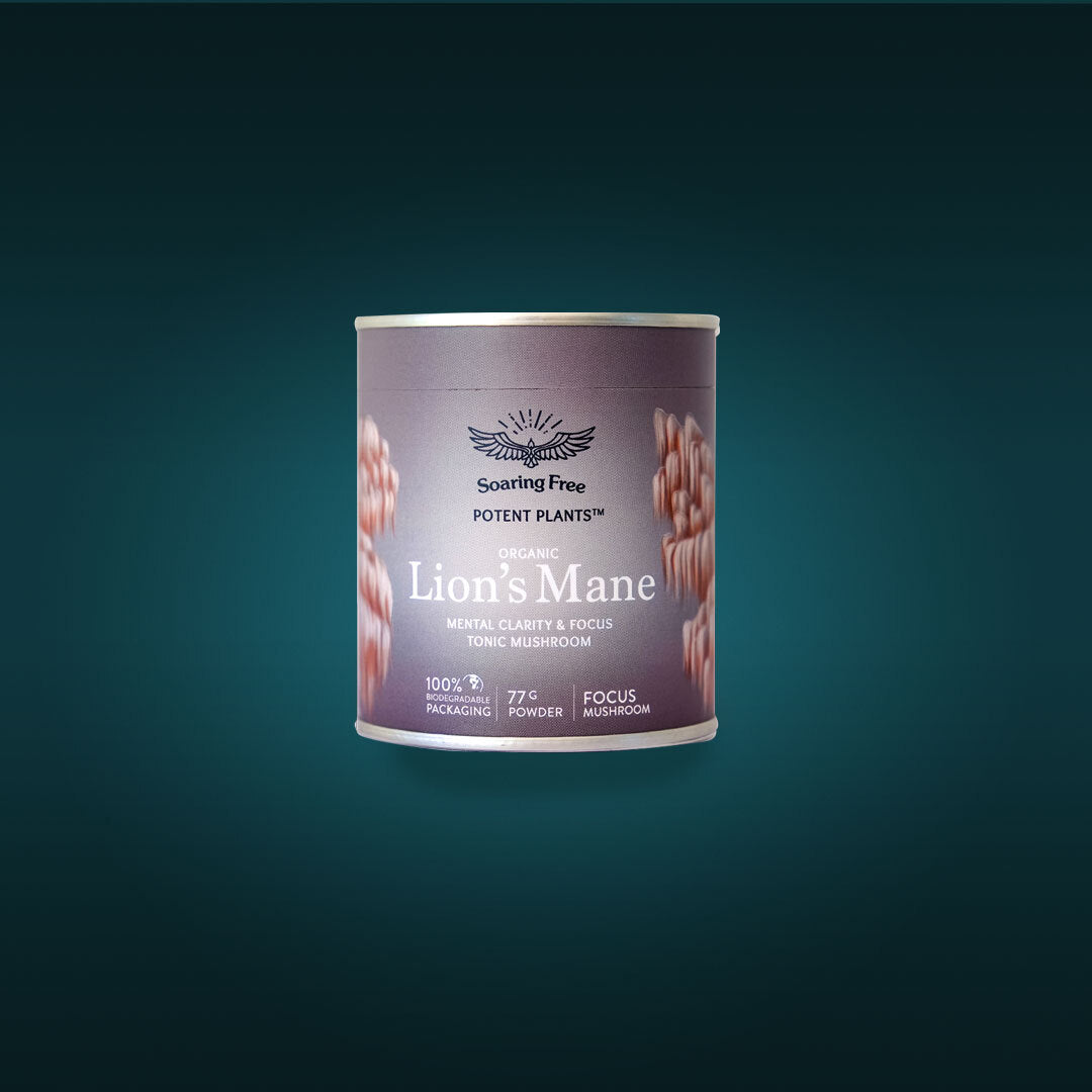 SOARING FREE SUPERFOODS - Lion's Mane Medicinal Mushroom Powder, Organic 77g | One Life Health